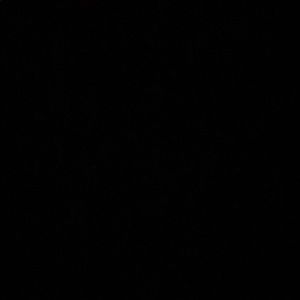 Meet your Posher, Gianna